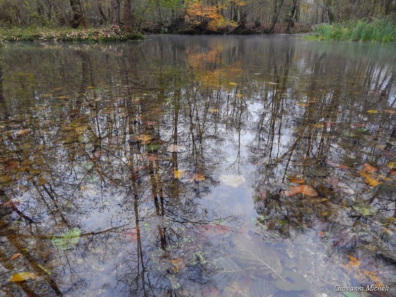 Parco del Ticino 23/11/13